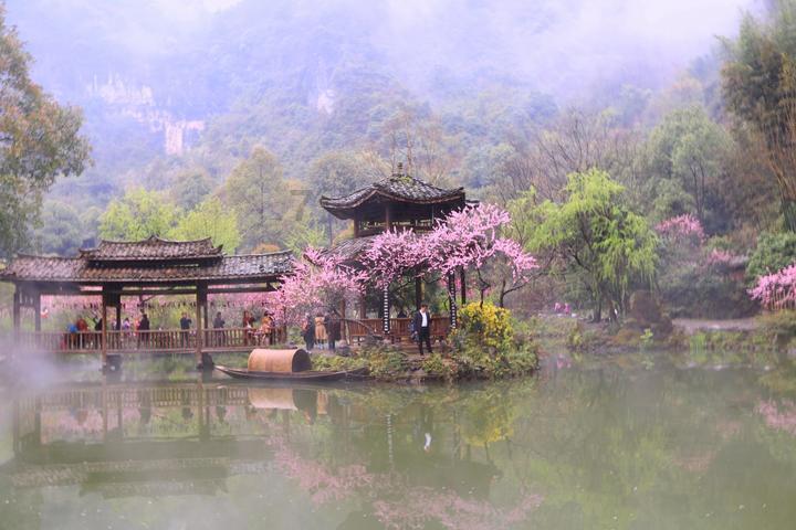 竞技宝如何